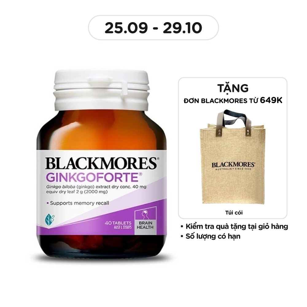 Thực Phẩm Bảo Vệ Sức Khỏe Blackmores Memory Support Ginkgoforte Hỗ Trợ Trí Não 40 Viên