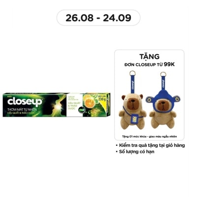 CLOSEUP Kem Đánh Răng Closeup Dầu Quất & Thảo Dược 230g