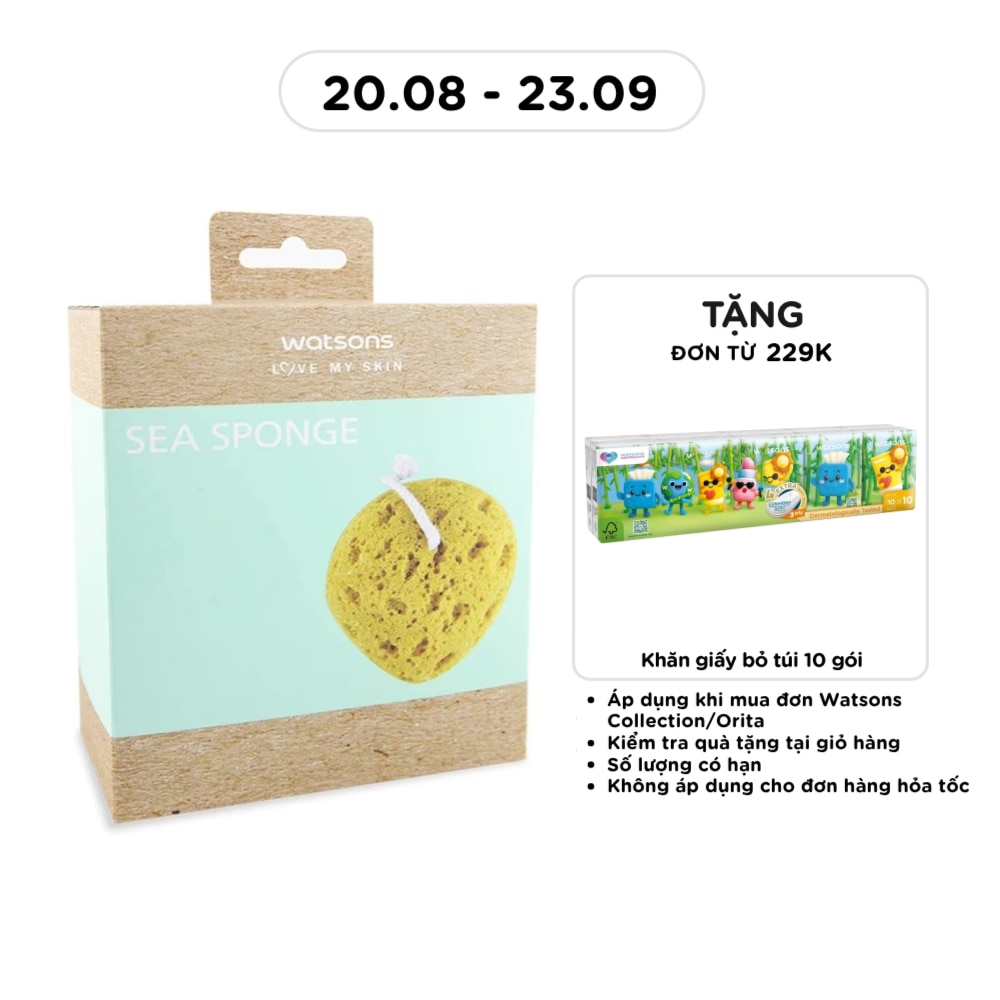 Sea Sponge 1s image