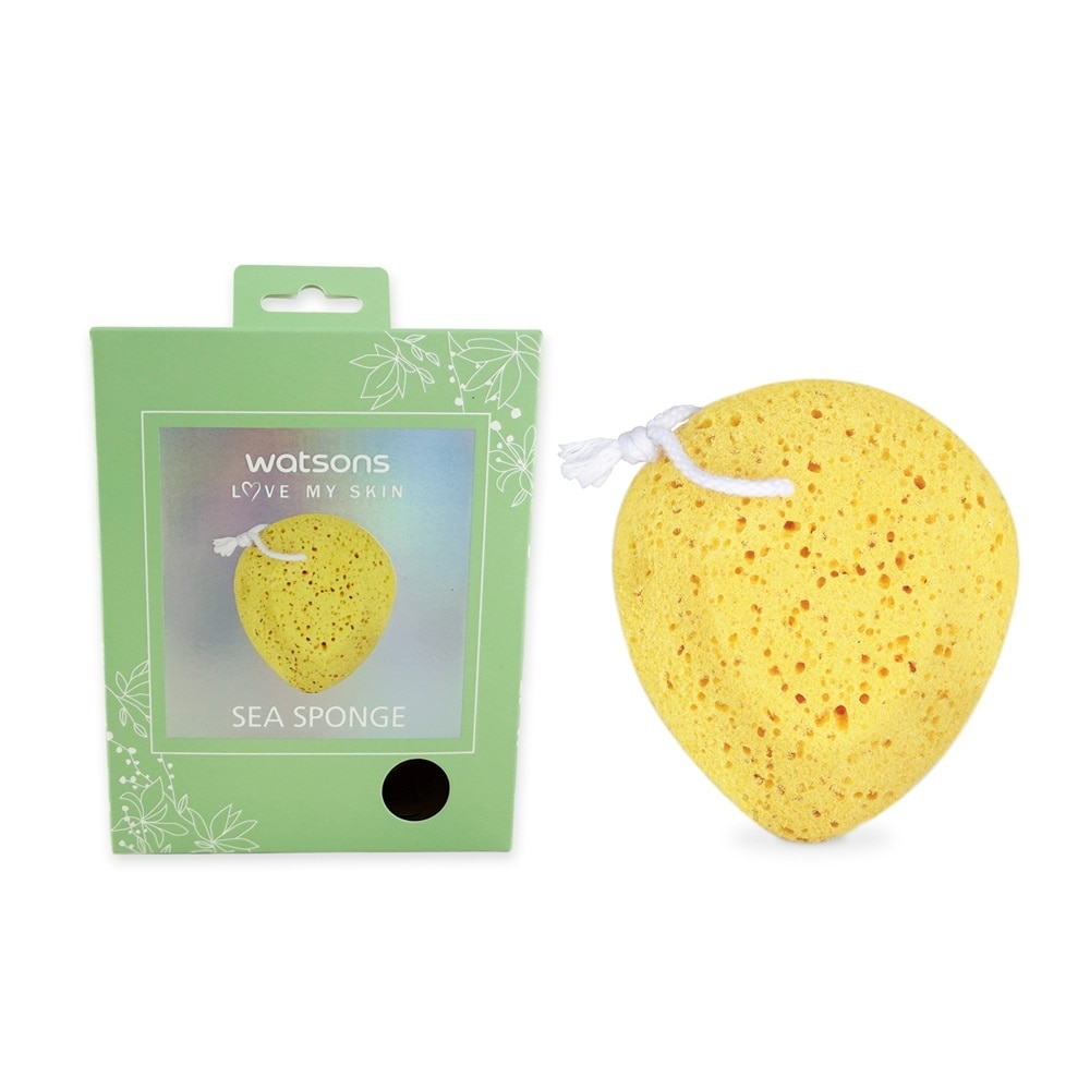 Sea Sponge 1s image