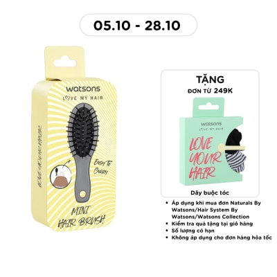 WATSONS Watsons Mini Hair Brush 1Pcs (Random Color) image