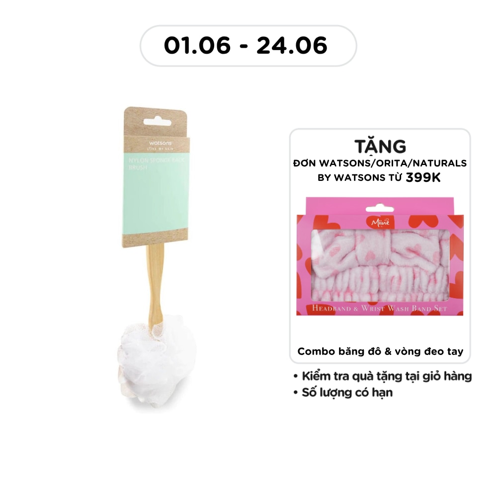 Nylon Sponge Back Brush