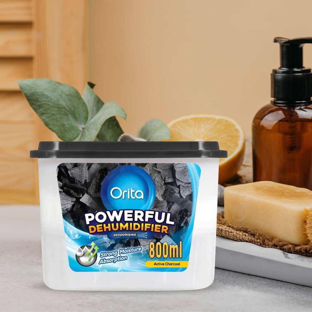 Charcoal Powerful Dehumidifier 800ml