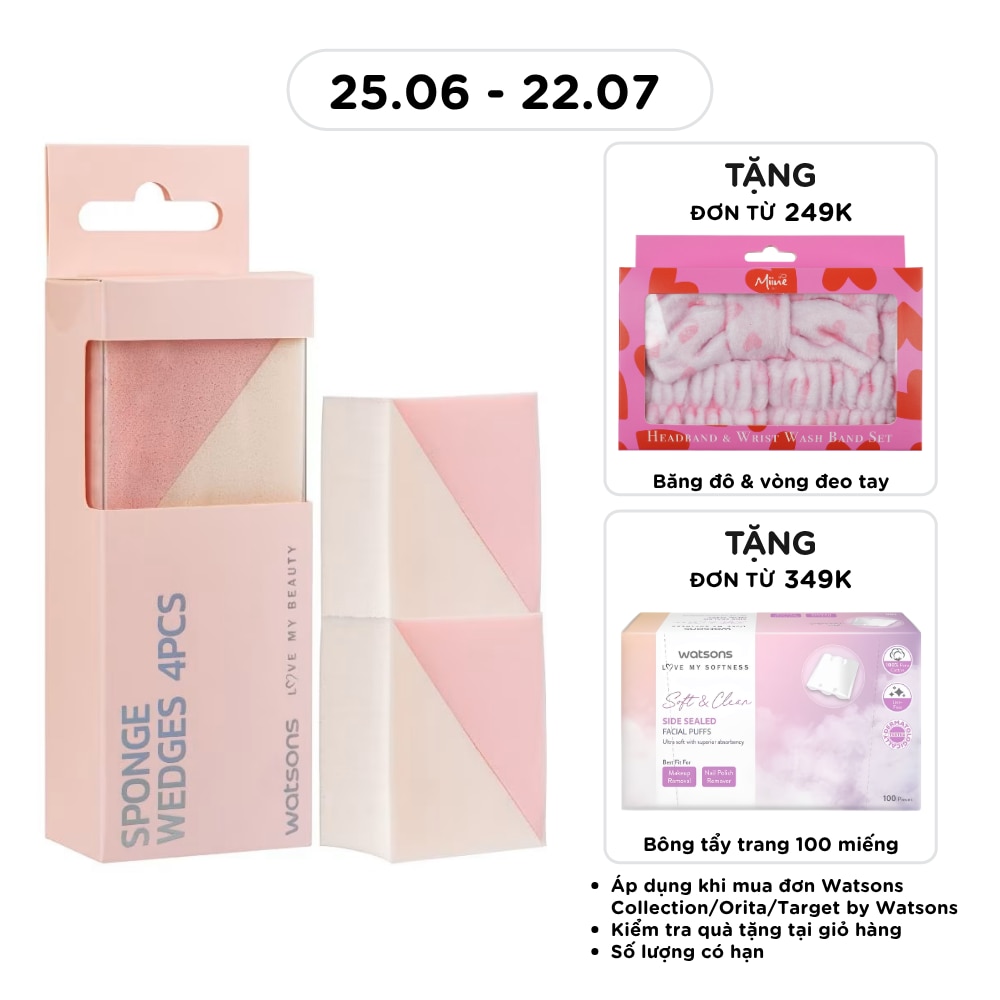 Sponge Wedges 4pcs