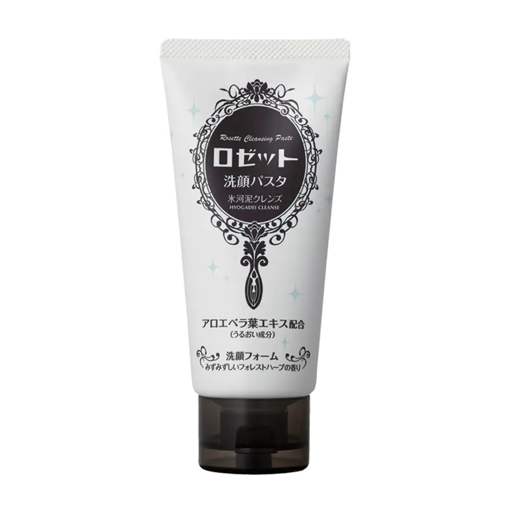 Rosette Face Wash Pasta Glacial Clay Cleanser 120g