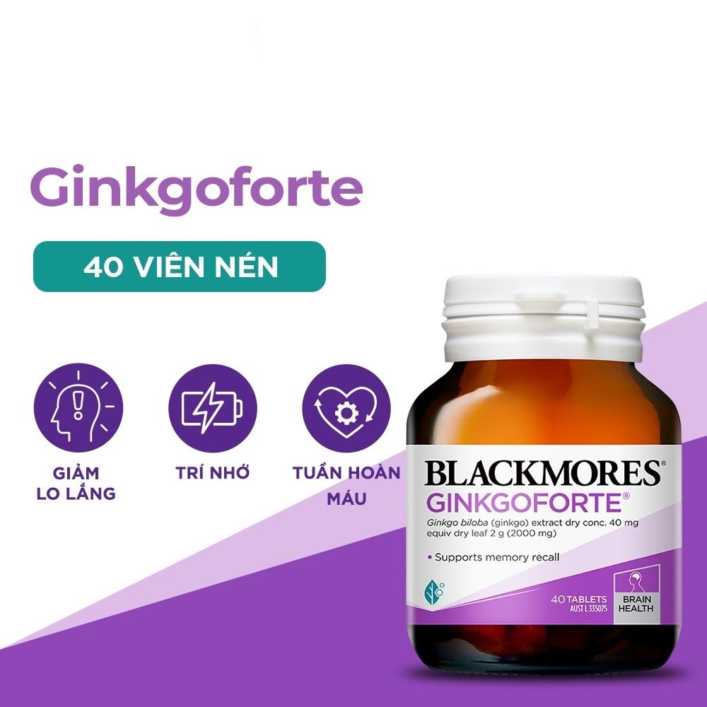 Memory Support Ginkgoforte 40 Tablets