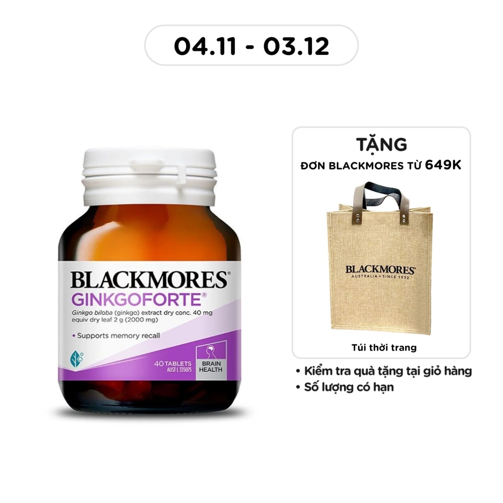 Memory Support Ginkgoforte 40 Tablets