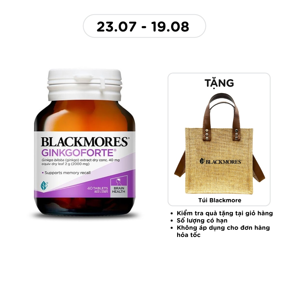 Memory Support Ginkgoforte 40 Tablets image