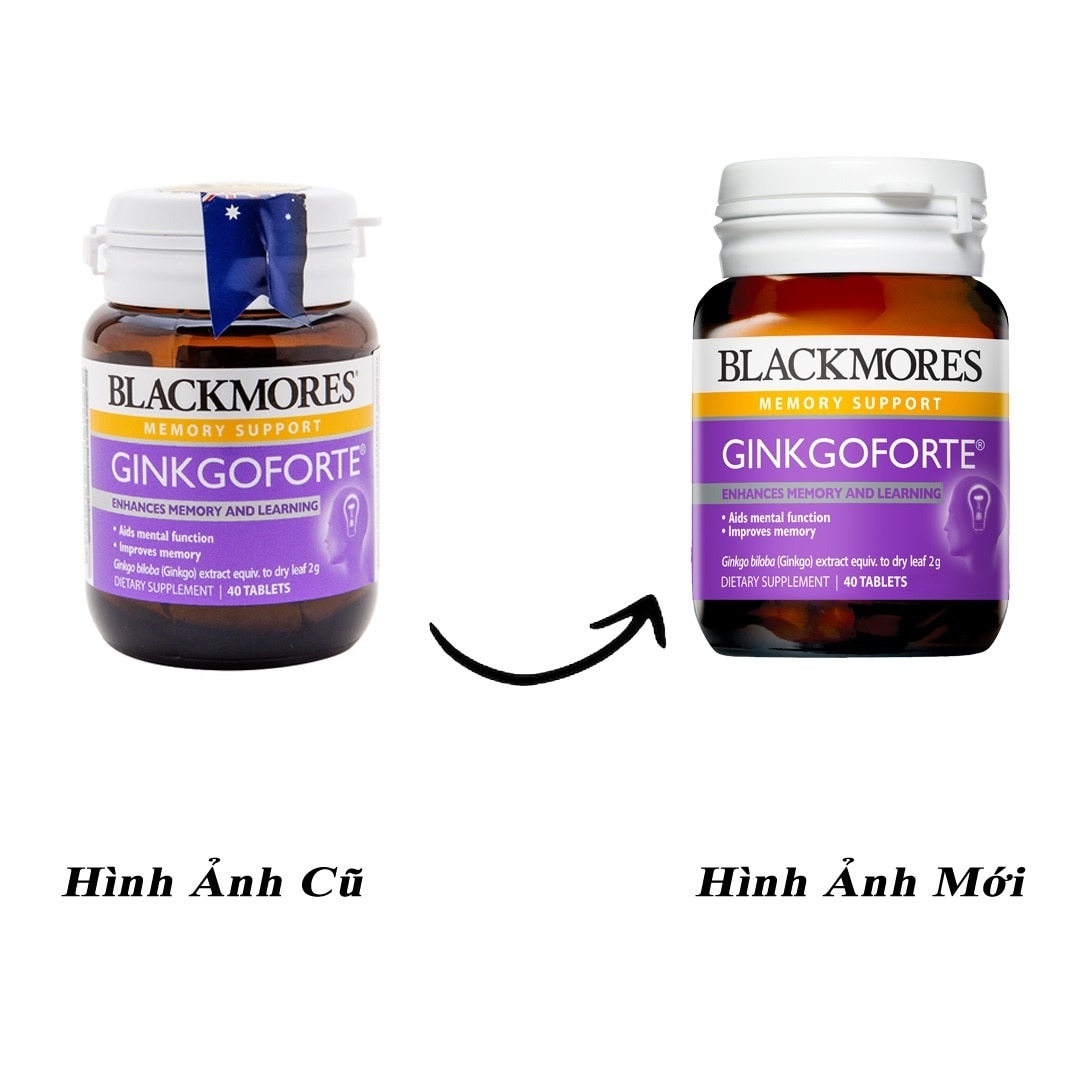 Memory Support Ginkgoforte 40 Tablets