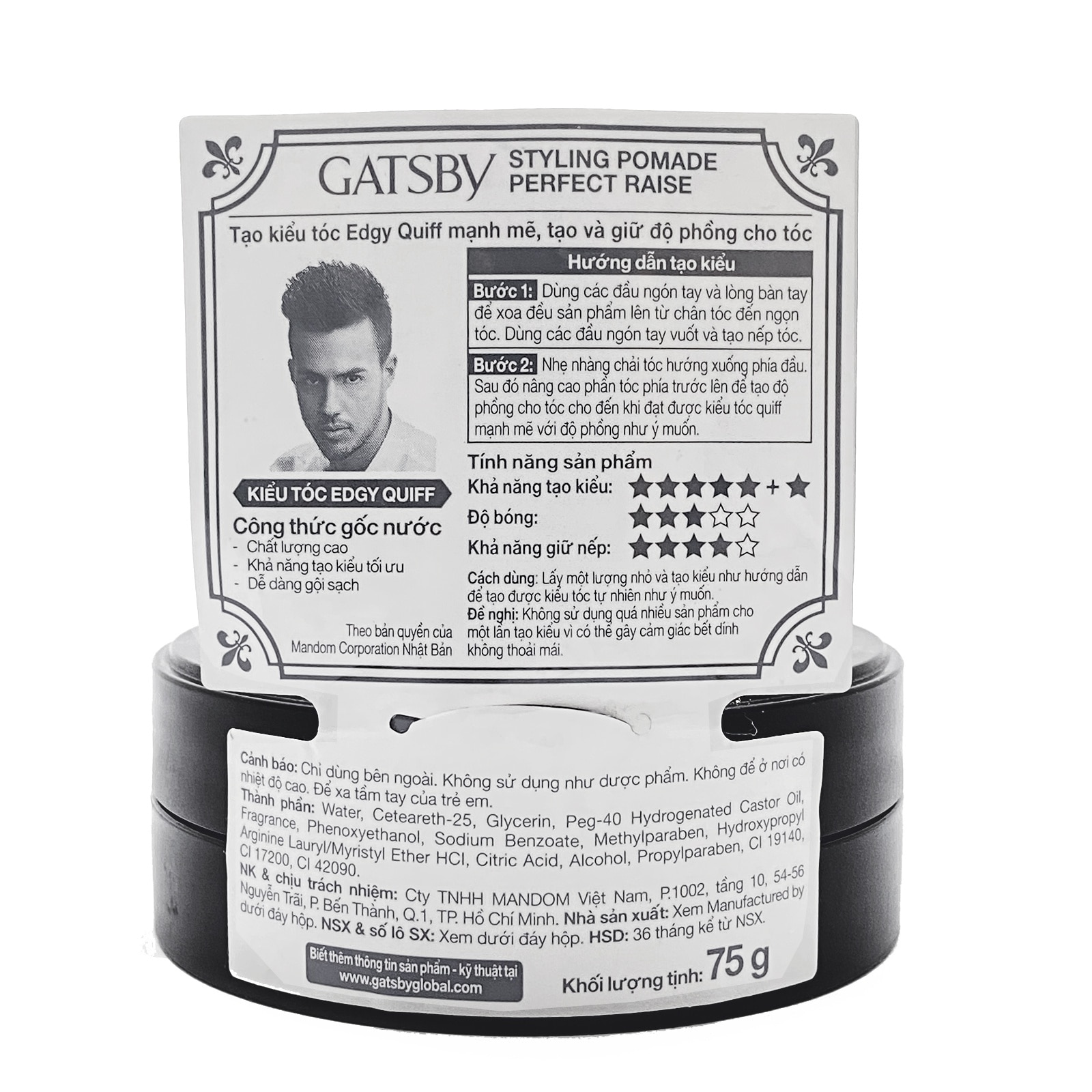 Styling Pomade Perfect Raise 75g