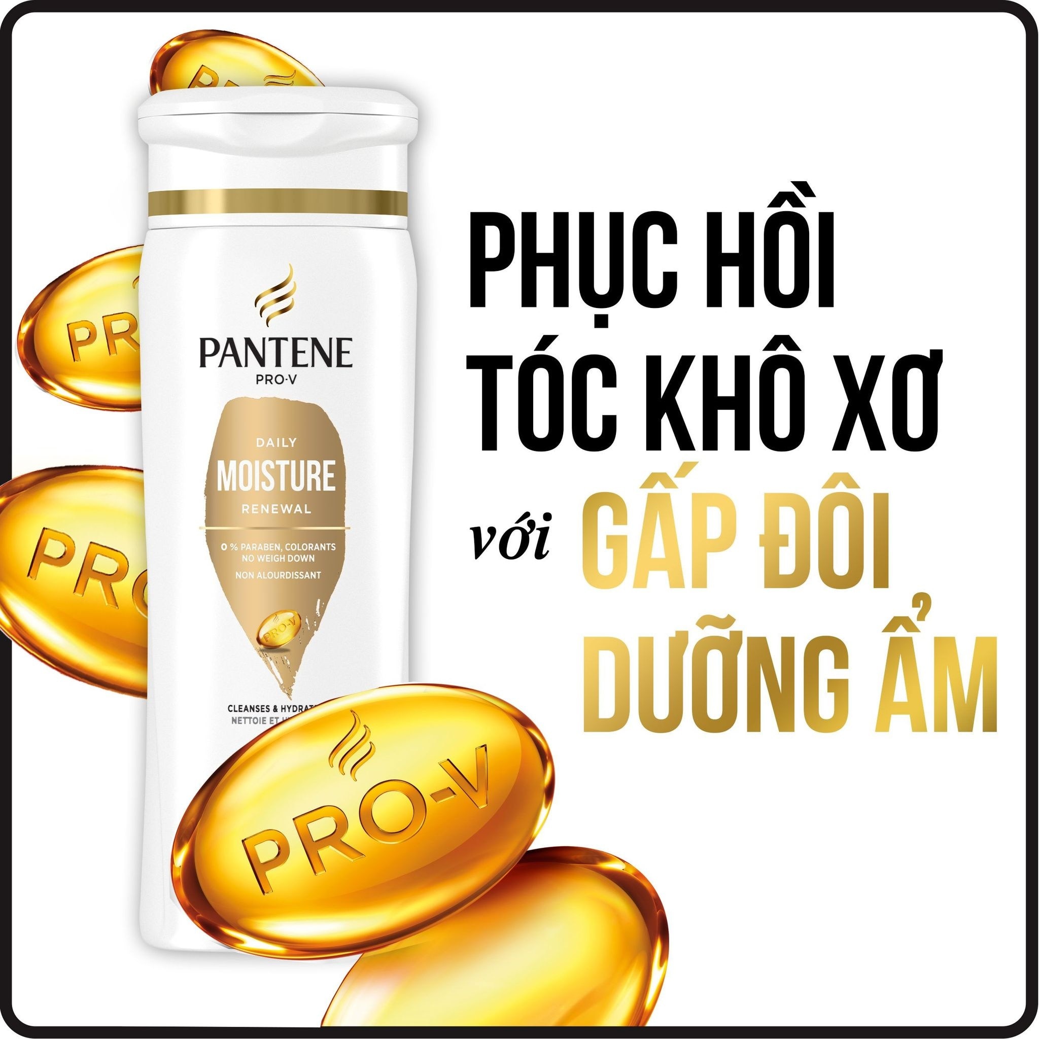 Dầu Gội Và Xả Pantene Daily Moisture Renewal 2in1 24Hr Hydration 355ml