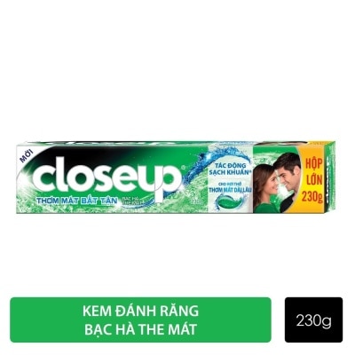 CLOSEUP Toothpaste Ever Fresh Anti-Bacterial Action 230g