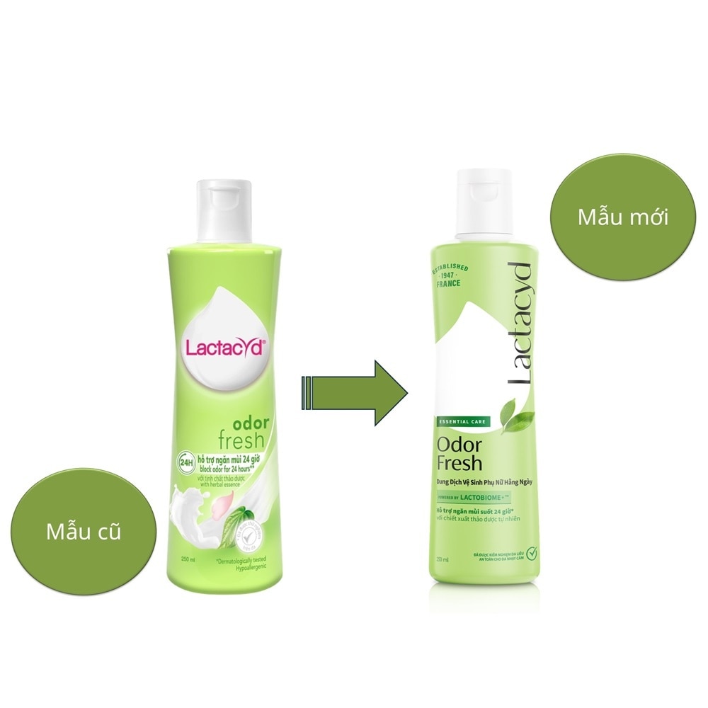 Dung Dịch Vệ Sinh Phụ Nữ Lactacyd Odor Fresh 250ml