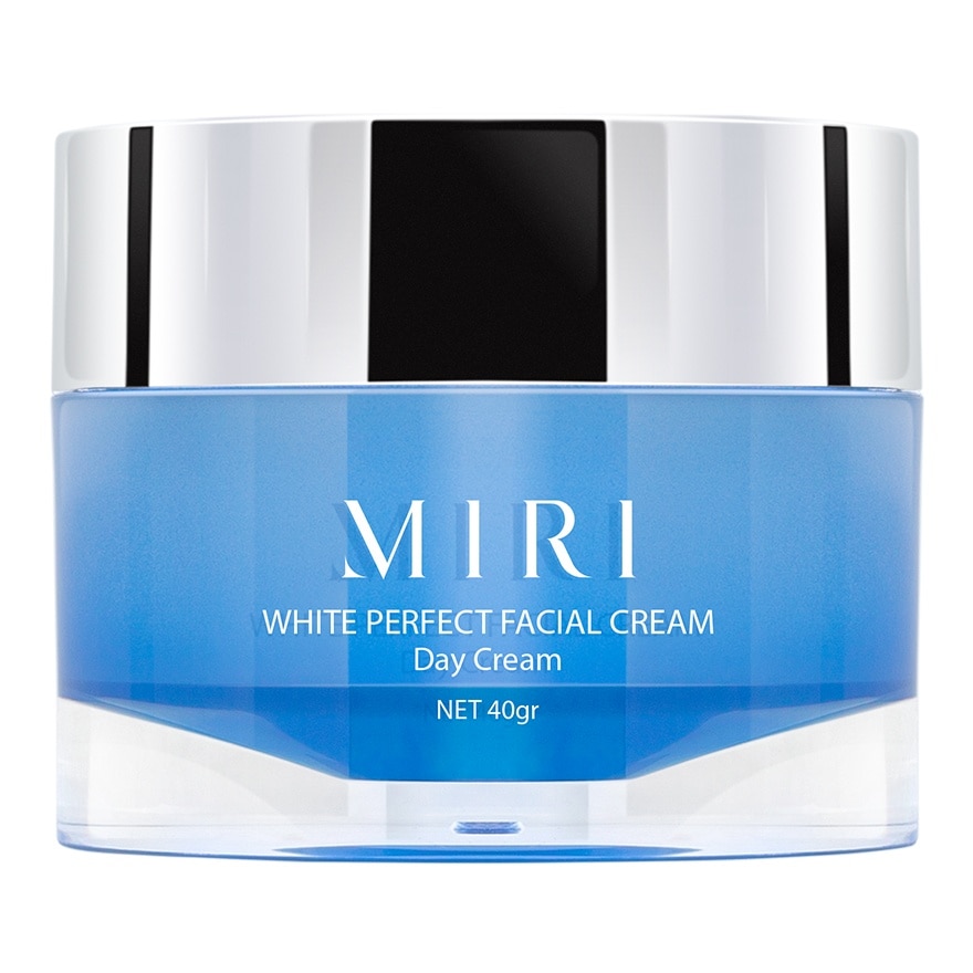 Day White Perfect Facial Cream 40g