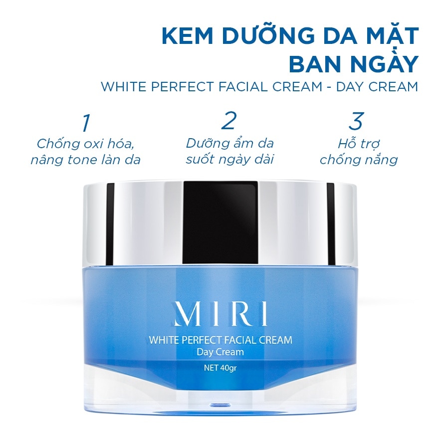 Day White Perfect Facial Cream 40g