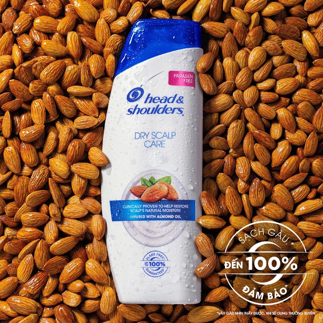 Head & Shoulder Shampoo Dry Scalp Care With Almond Oil 613ml