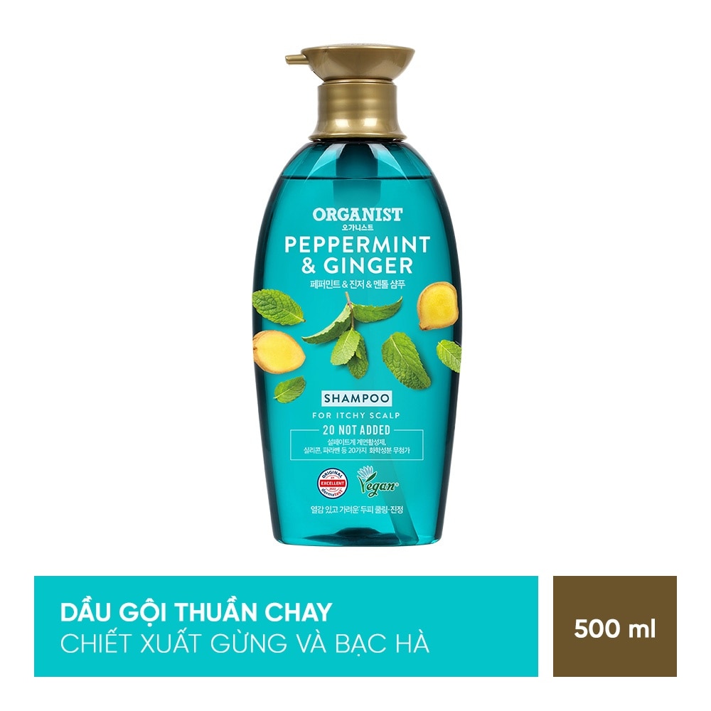 Peppermint & Ginger Cooling Care Shampoo 500ml