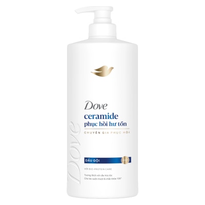 DOVE - Dầu Gội Dove Phục Hồi Hư Tổn Damage Repair Shampoo 600g image