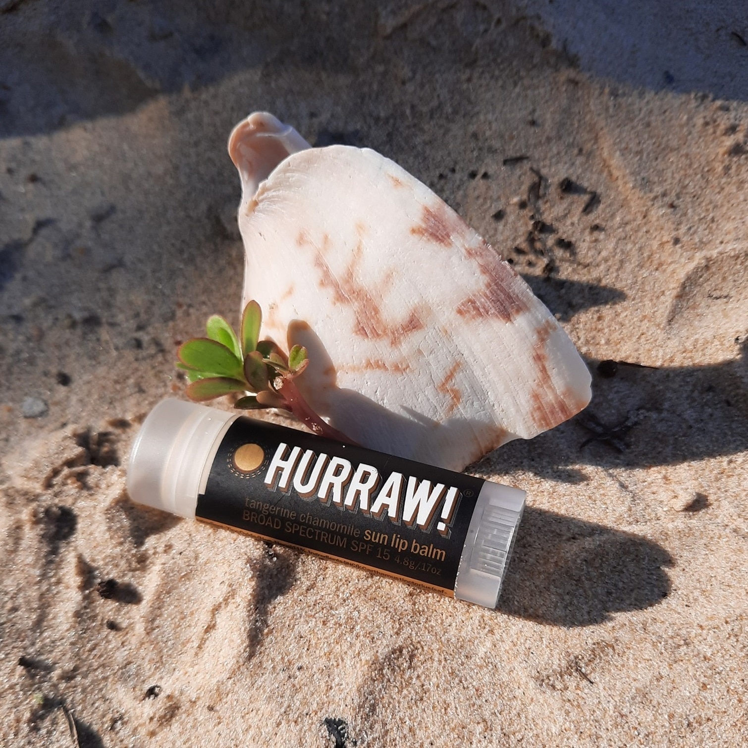 Sun Lip Balm SPF15 4.8g