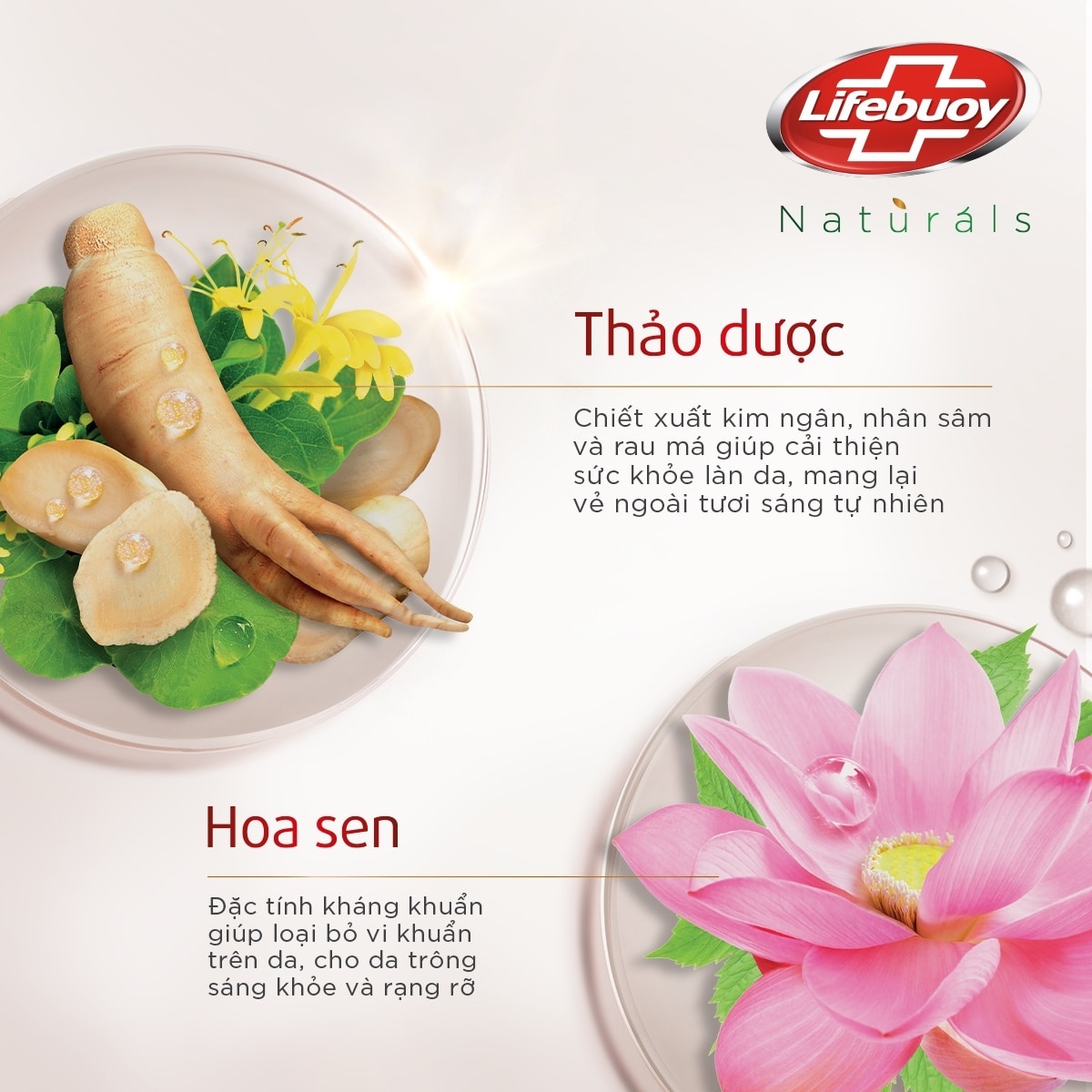 Sữa Tắm Lifebuoy Bảo Vệ Khỏi Vi Khuẩn Thảo Dược & Hoa Sen 800g
