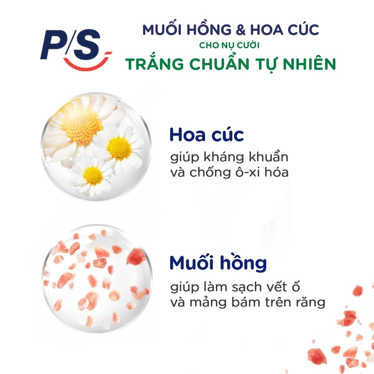 Kem Đánh Răng P/S Muối Hồng & Hoa Cúc 230g