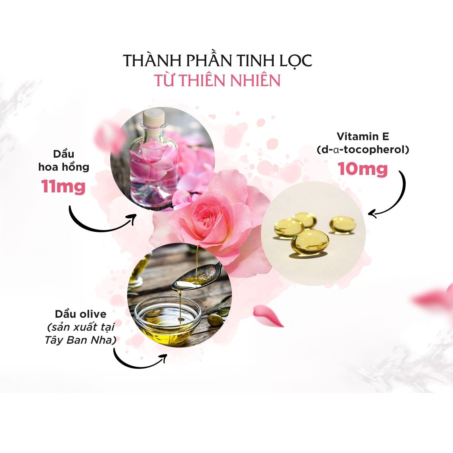 Bulgarian Rose Capsule (30-Day Supply)