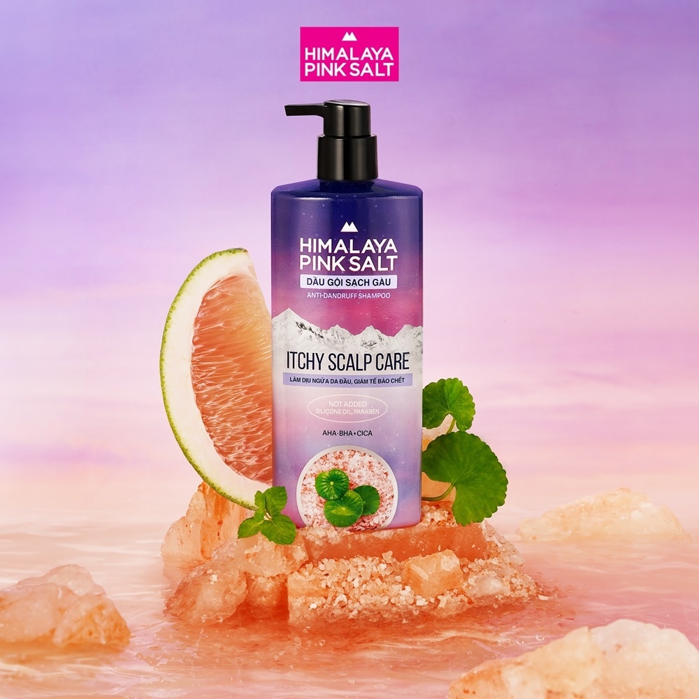 Pinksalt Anti Dandruff Shampoo Itchy Scalp Care 650ml