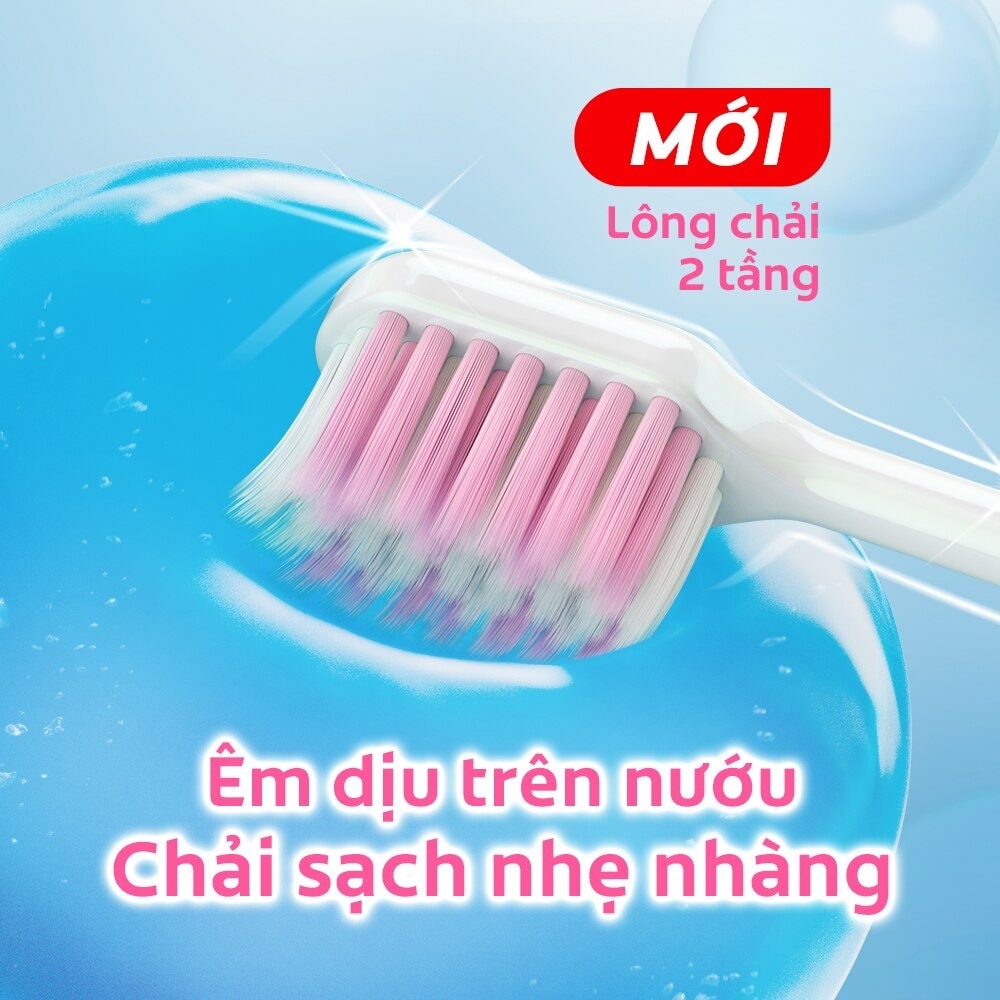 Bộ Bàn Chải Đánh Răng Colgate Gentle Comfort Clean 2 cây