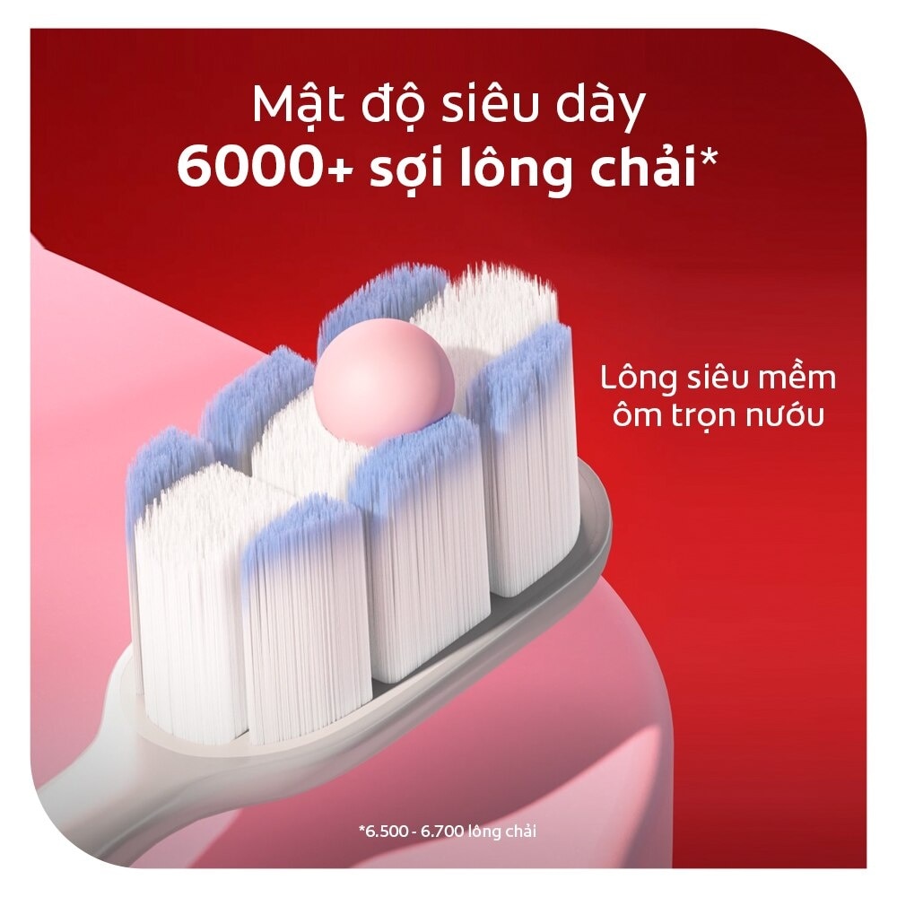 Bộ Bàn Chải Đánh Răng Colgate Gentle Gum Expert 2 cây