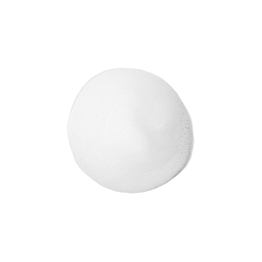 Sữa Rửa Mặt Làm Sạch Và Dưỡng Ẩm Cho Mọi Loại Da Rich Moist Foaming 100ml image