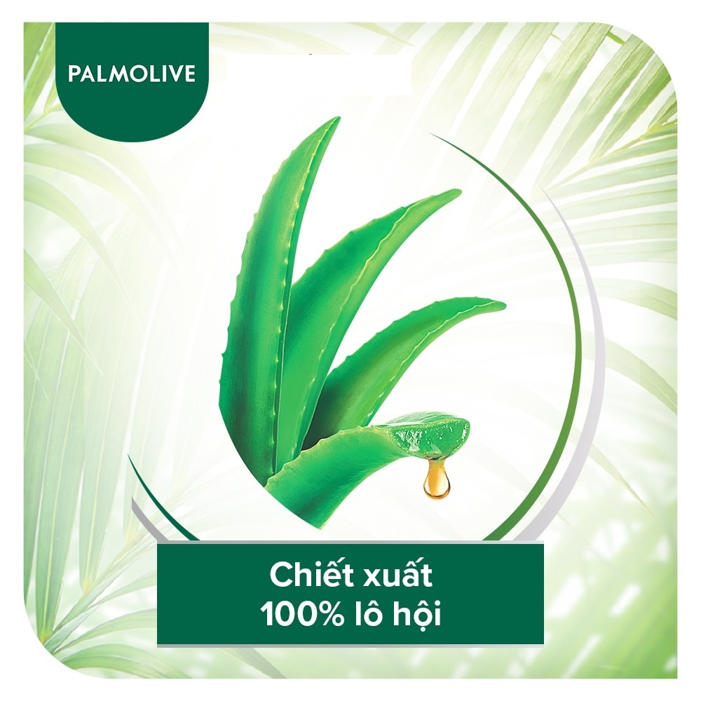 Dầu Gội và Xả Palmolive Naturals Ultra Smooth Aloe Vera 600ml