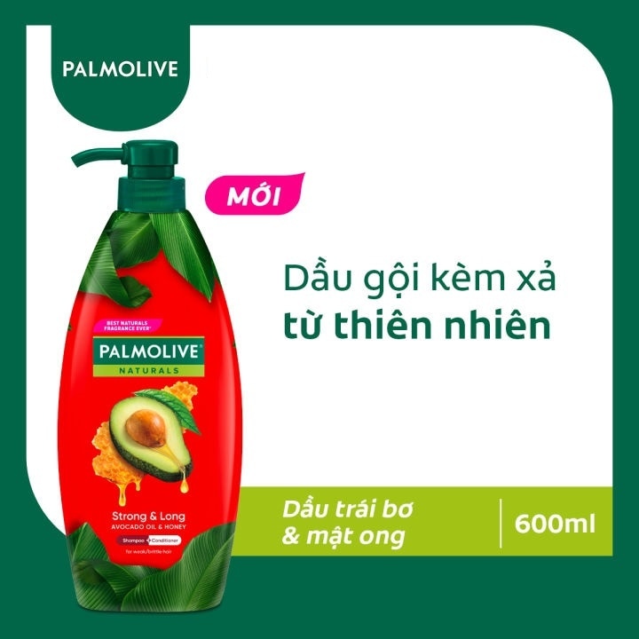 Dầu Gội Và Xả Palmolive Naturals Strong & Long Avocado Oil & Honey 600ml