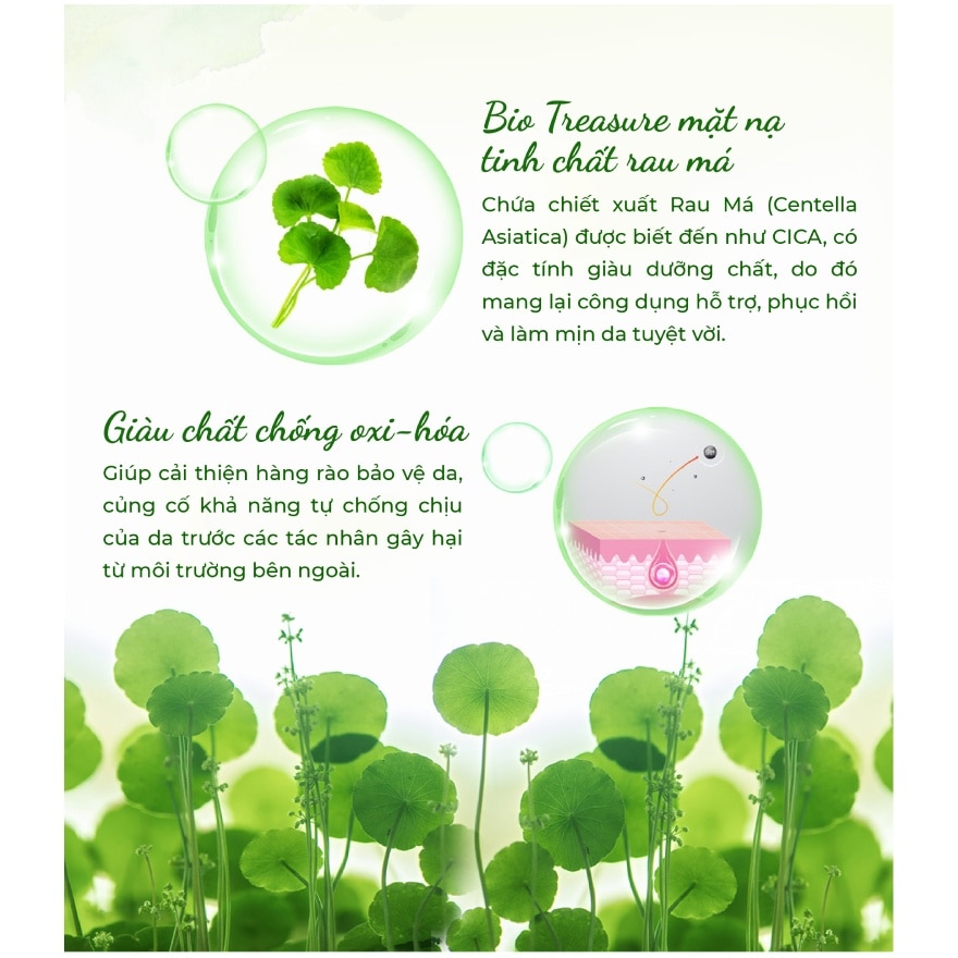 Bio-Treasure Centella Asiatica Extract Intensive Repair Ampoule Mask 25ml