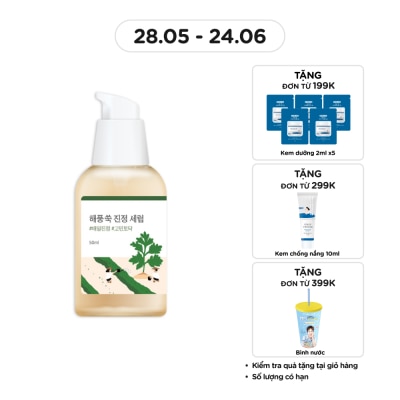 ROUND LAB - Mugwort Calming Serum 50ml