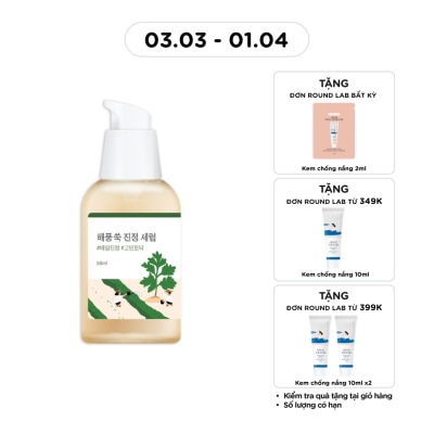 Serum Round Lab Mugwort Calming 50ml