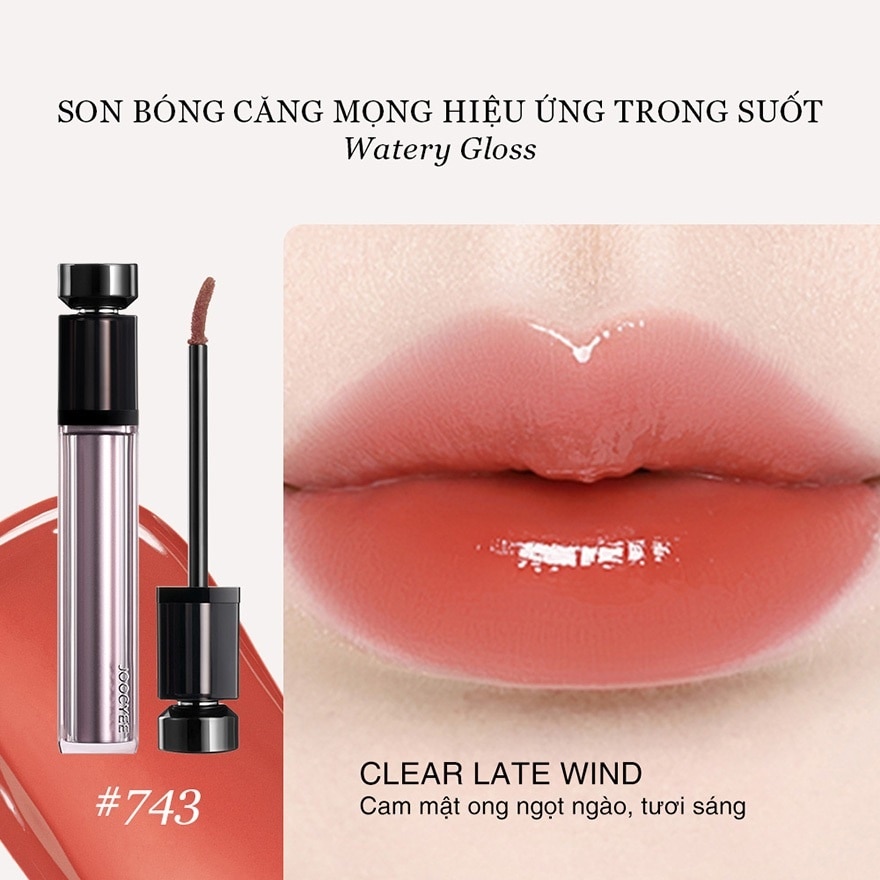 Joocyee Watery Gloss 5.2g .#743 Clear Late Wind