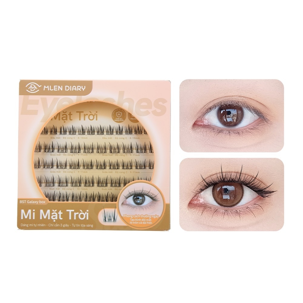 Sun Eyelashes (Small Box)