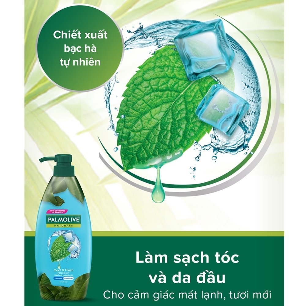 Naturals Cool & Fresh Shampoo & Conditioner 600ml