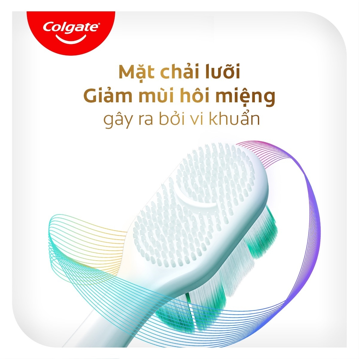 Bàn Chải Đánh Răng Colgate Total 2Pcs