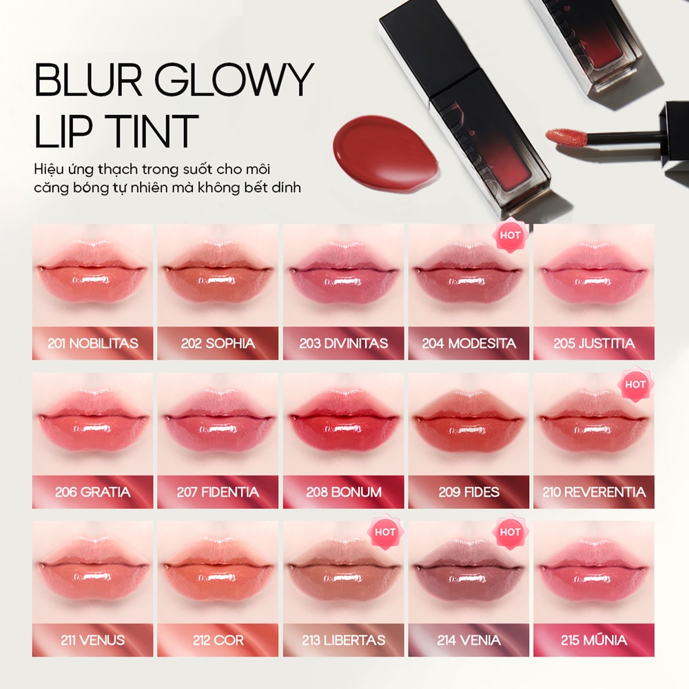 Dinto Blur-Glowy Lip Tint 3.5g .#204 Modestia