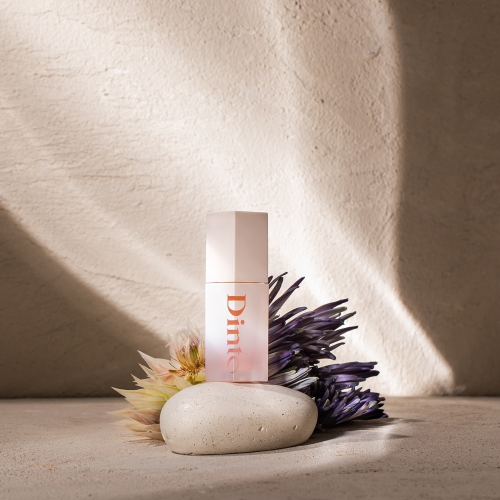 Mặt Nạ Dưỡng Môi Dinto Repairing Lip Essence Mask 3.5g .#100 Pullus