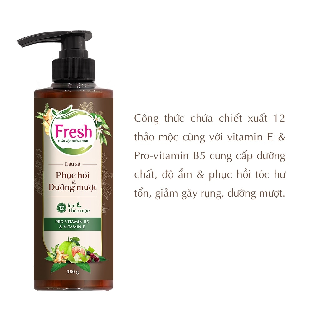 Dầu Xả Fresh Thảo Mộc Dưỡng Sinh Phục Hồi & Dưỡng Mượt Tóc Hư Tổn 380g