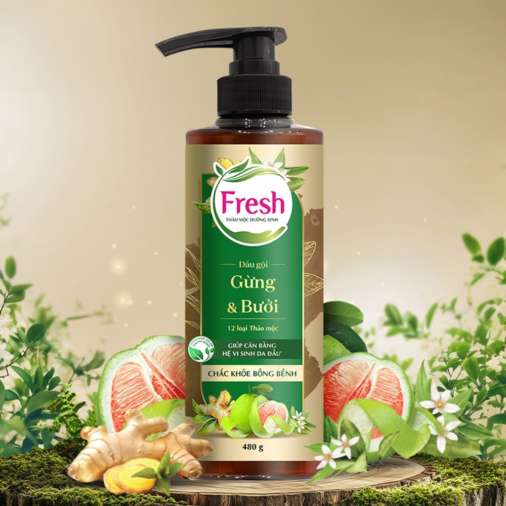 Dầu Gội Fresh Thảo Mộc Dưỡng Sinh Chắc Khoẻ Bồng Bềnh 480g