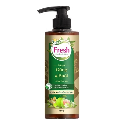 FRESH - Dầu Gội Fresh Thảo Mộc Dưỡng Sinh Chắc Khoẻ Bồng Bềnh 480g