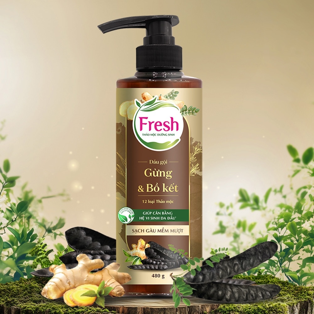 Dầu Gội Fresh Thảo Mộc Dưỡng Sinh Sạch Gàu Mềm Mượt 480g