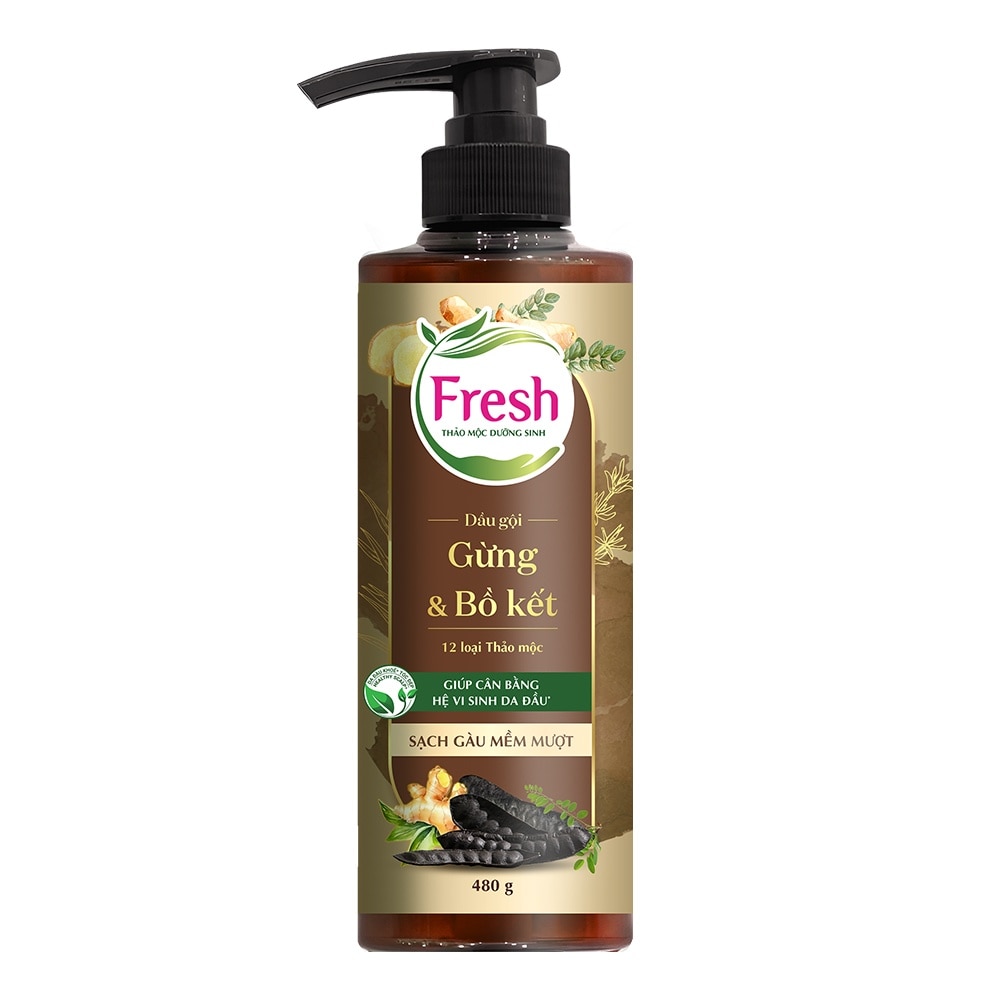Dầu Gội Fresh Thảo Mộc Dưỡng Sinh Sạch Gàu Mềm Mượt 480g