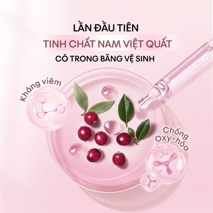Băng Vệ Sinh Kotex Nam Việt Quất Siêu Mỏng Có Cánh 24cm 8 Miếng image