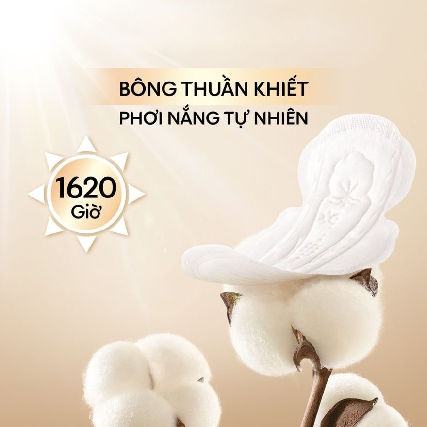 Băng Vệ Sinh Kotex Mặt Bông Cotton Siêu Mỏng Có Cánh 24cm 16 Miếng image