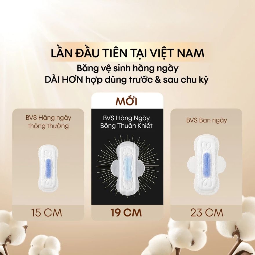 Combo Băng Vệ Sinh Hàng Ngày Kotex Bông Thuần Khiết Có Cánh 19cm 10 Miếng x 2