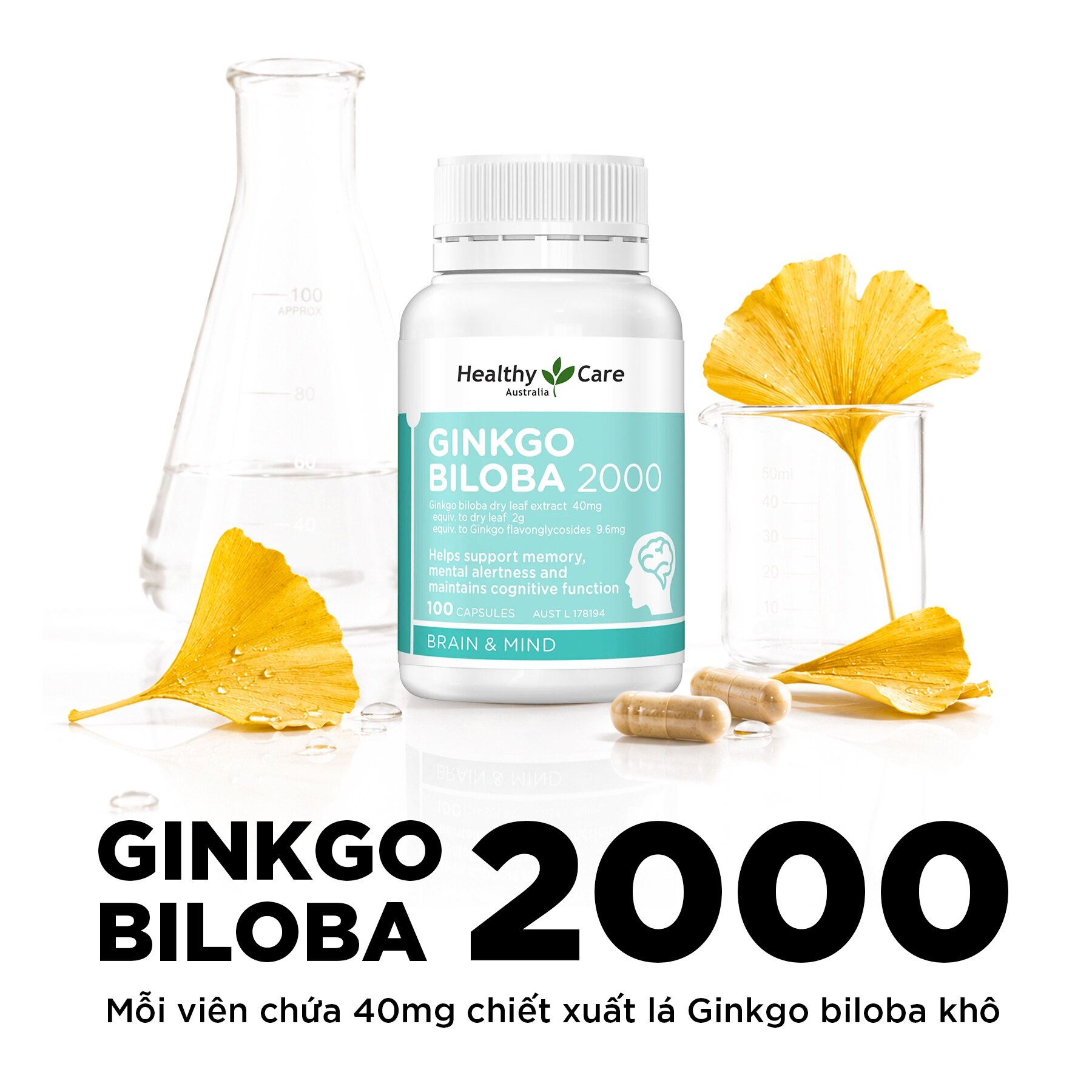 Thực Phẩm Bảo Vệ Sức Khỏe Viên Uống Bổ Não Healthy Care Ginkgo Biloba 2000mg 100 Viên image